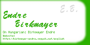 endre birkmayer business card